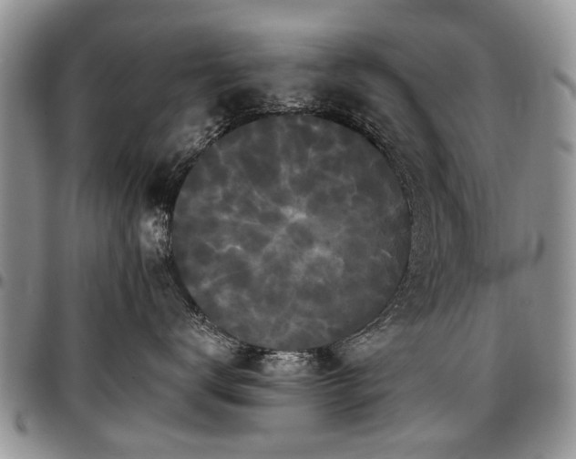 X0000097490672200802291434