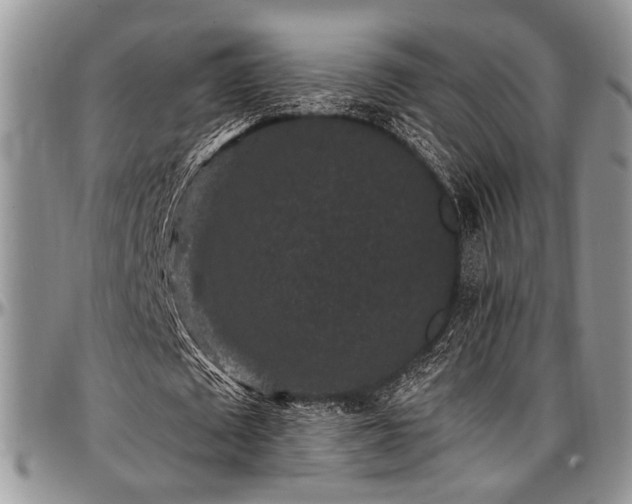 X0000097490673200802291433