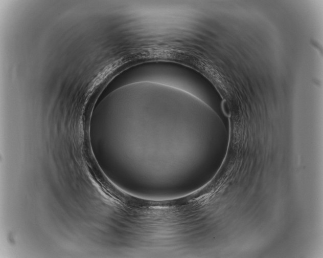 X0000097490674200802291433