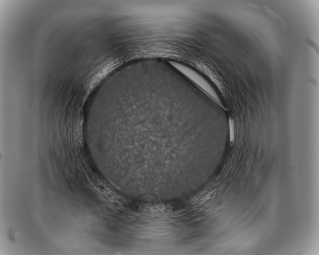 X0000097490675200802291433