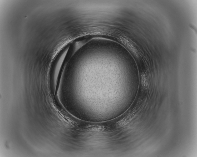 X0000097490676200802291433