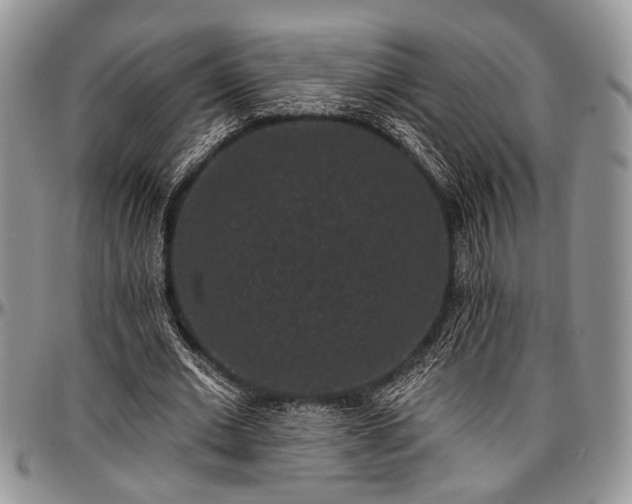 X0000097490677200802291433