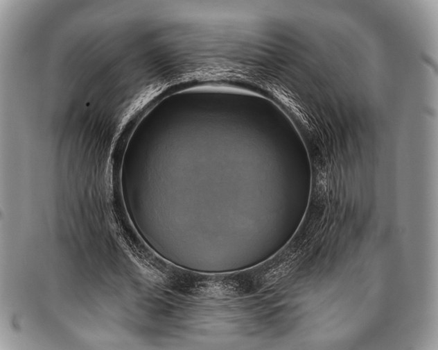 X0000097490678200802291433