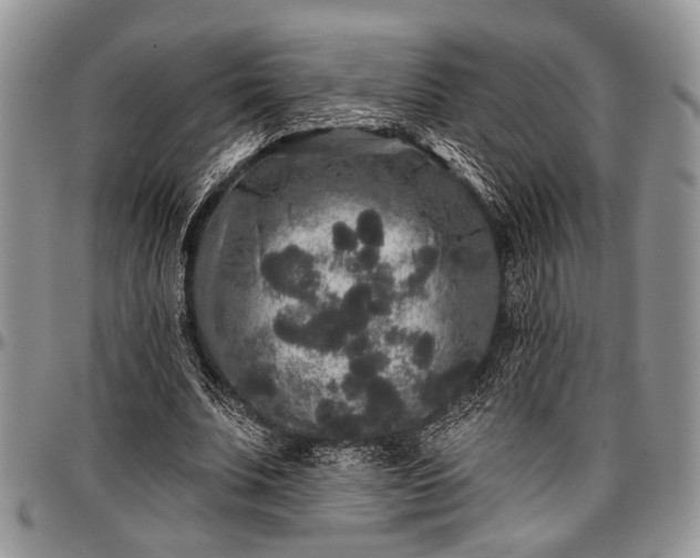 X0000097490679200802291433