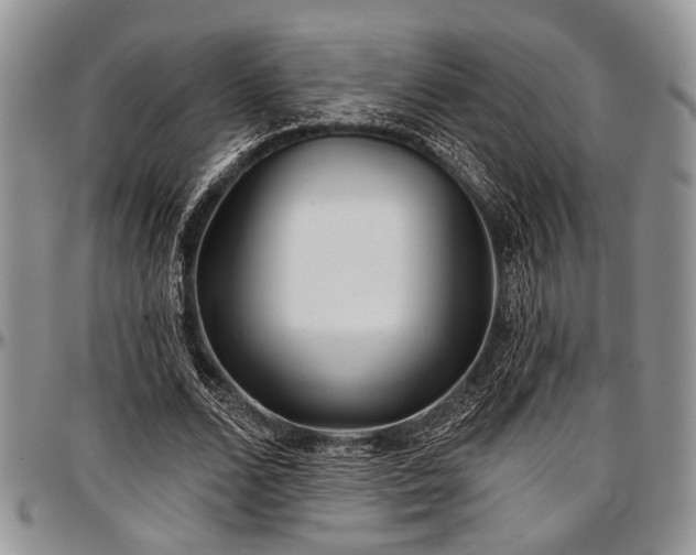 X0000097490680200802291433