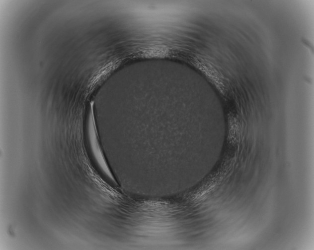 X0000097490681200802291432