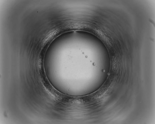 X0000097490683200802291432