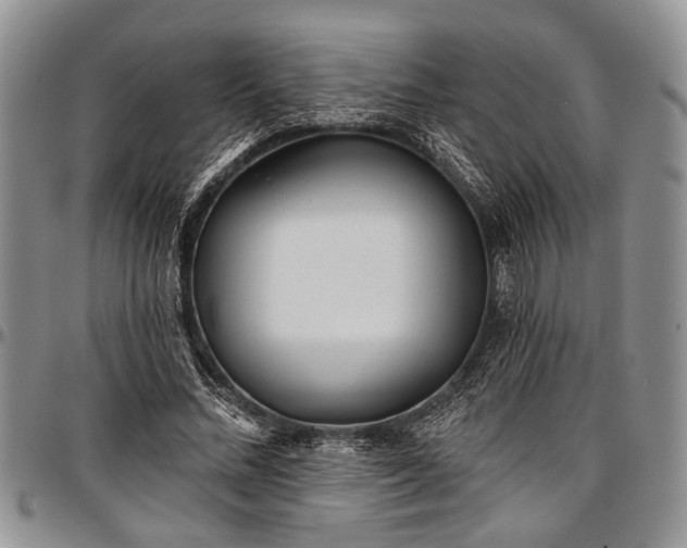 X0000097490684200802291432