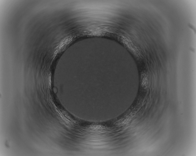 X0000097490685200802291432