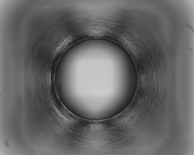 X0000097490686200802291432