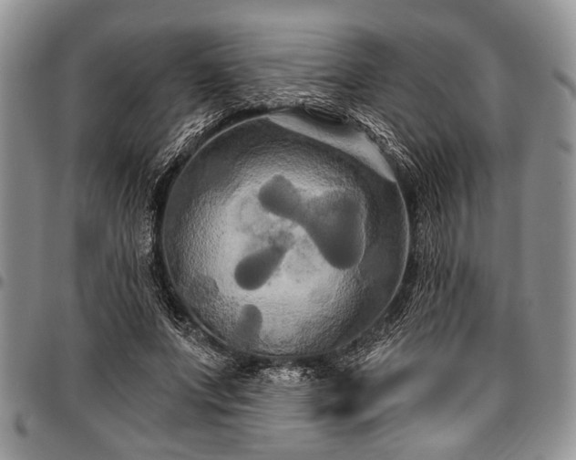 X0000097490687200802291432