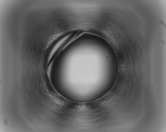 X0000097490688200802291432