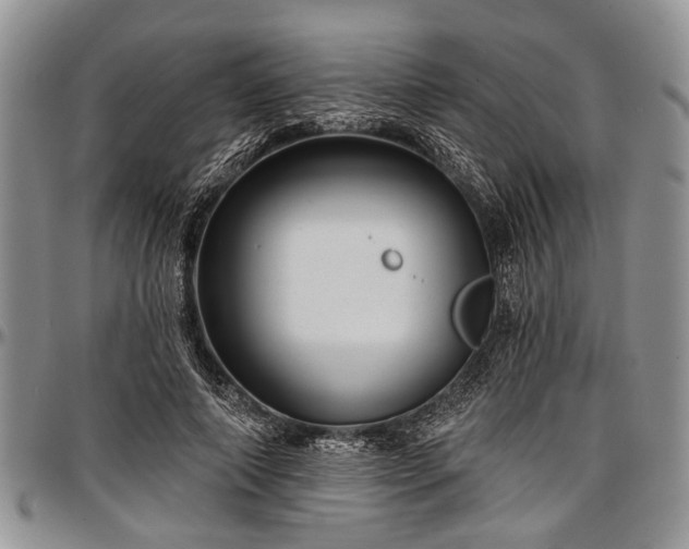 X0000097490690200802291432