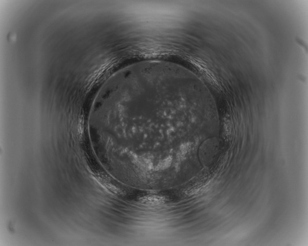 X0000097490691200802291432