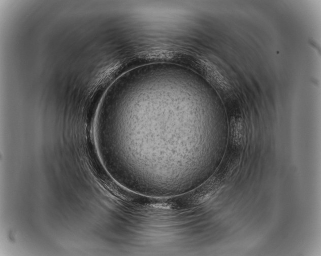 X0000097490692200802291432