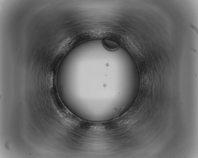 X0000097490694200802291432