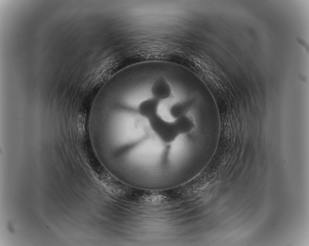 X0000097490695200802291432