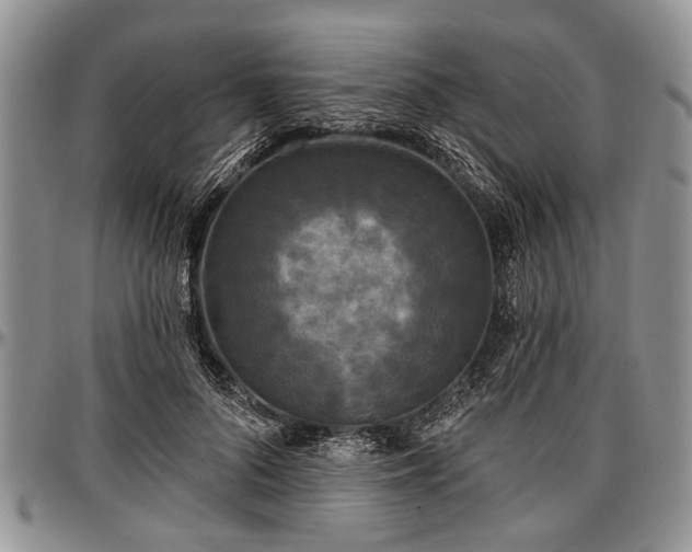 X0000097490696200802291432