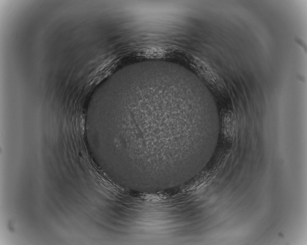 X0000097490697200802291432