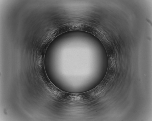 X0000097490698200802291432