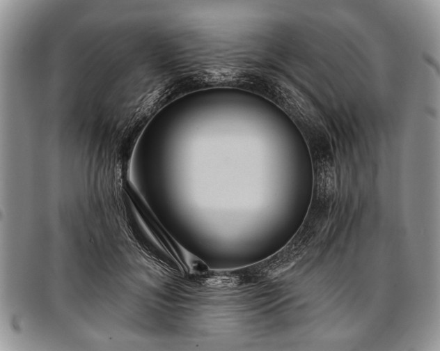 X0000097490700200802291432