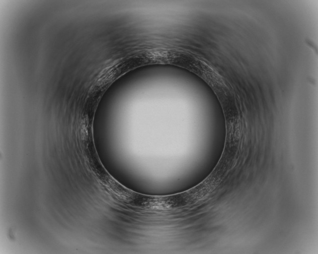 X0000097490702200802291432