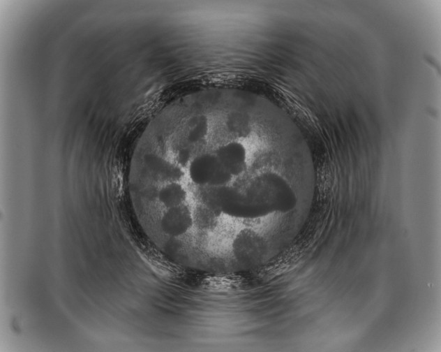 X0000097490703200802291432