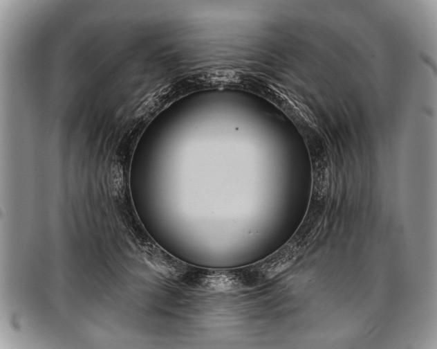 X0000097490704200802291432