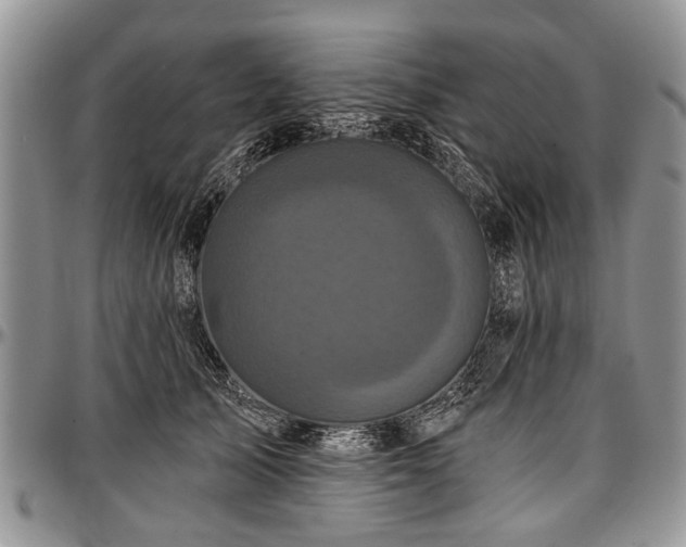 X0000097490705200802291432