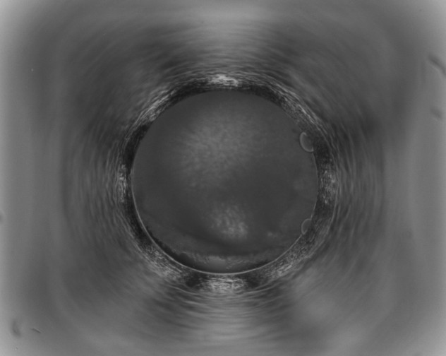 X0000097490707200802291432