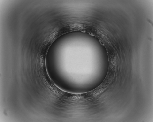 X0000097490708200802291432