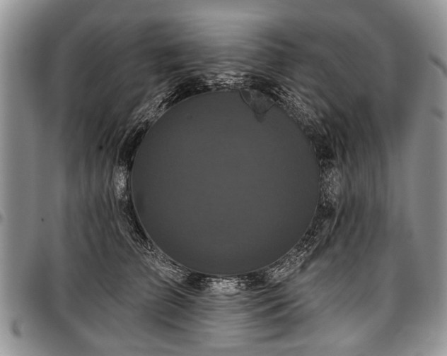 X0000097490709200802291432