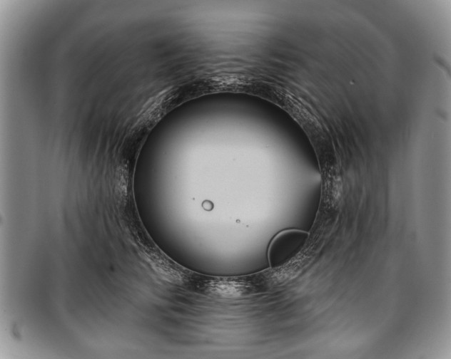 X0000097490710200802291432