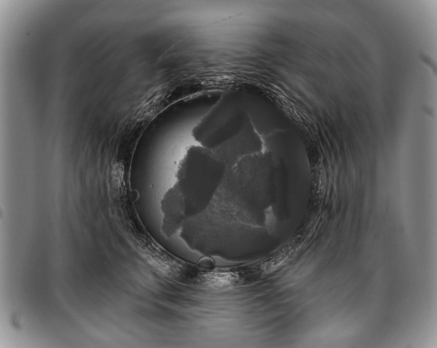 X0000097490711200802291432