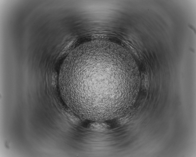 X0000097490712200802291432