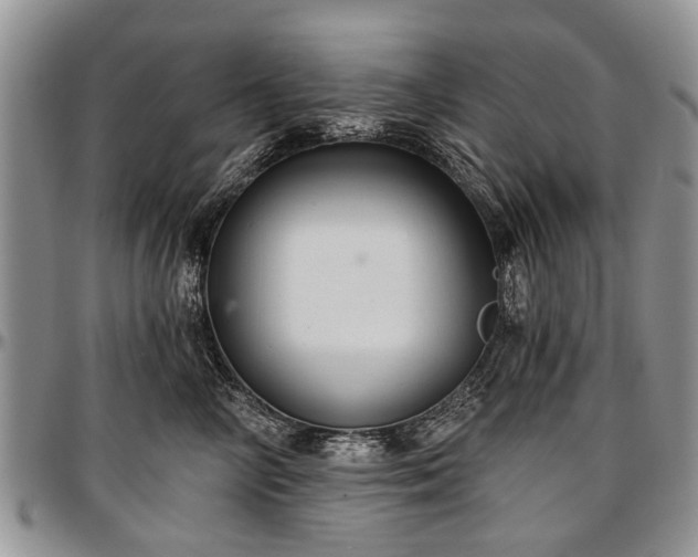 X0000097490714200802291432