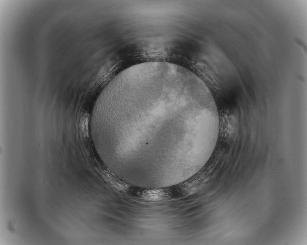 X0000097490717200802291432