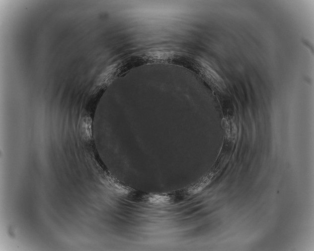 X0000097490718200802291432