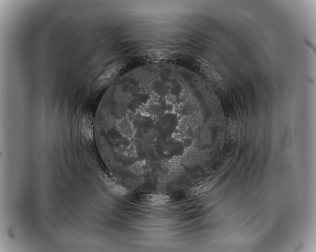 X0000097490719200802291432