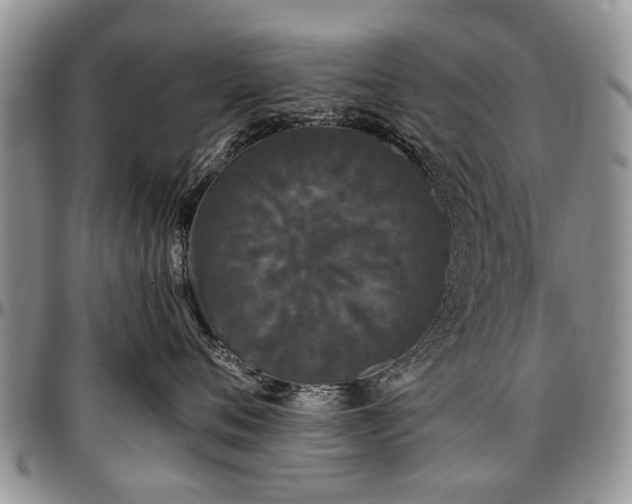 X0000097490720200802291432