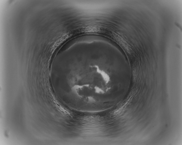 X0000097490721200802291431