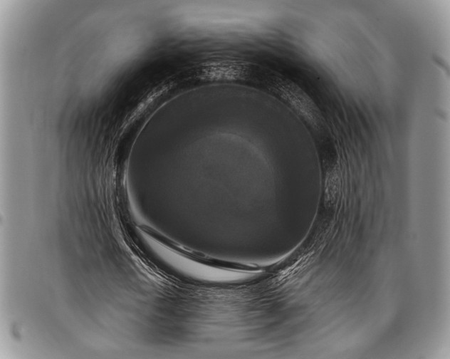 X0000097490722200802291431