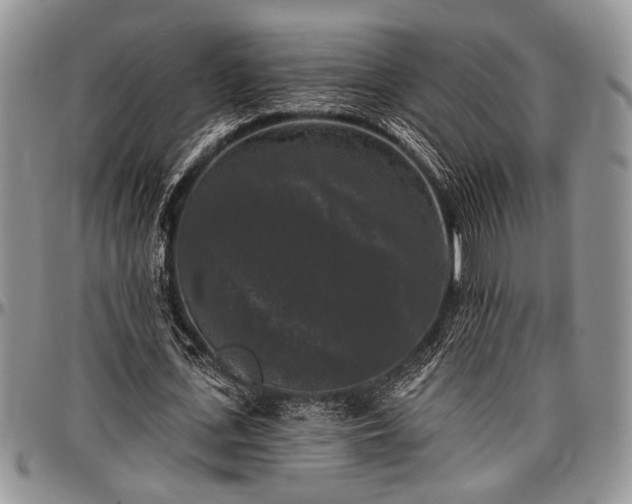 X0000097490723200802291431