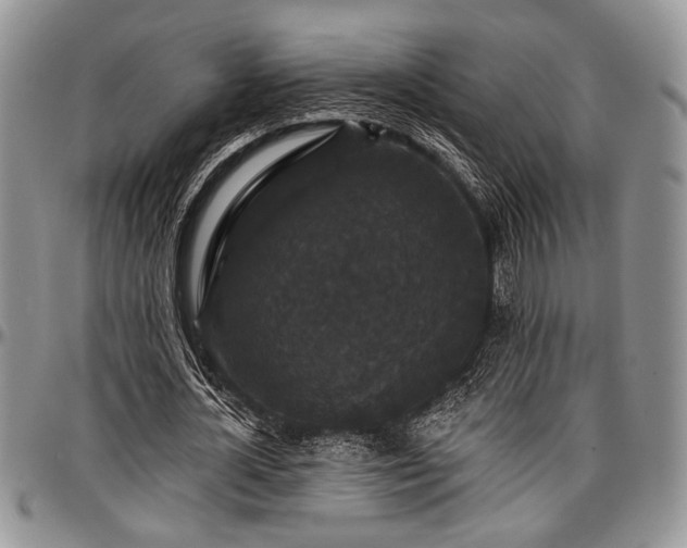 X0000097490724200802291431