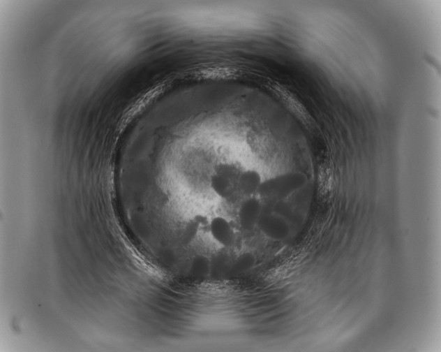 X0000097490725200802291431