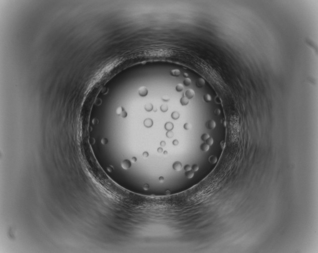 X0000097490726200802291431