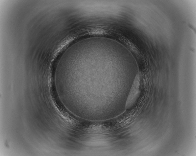 X0000097490728200802291431