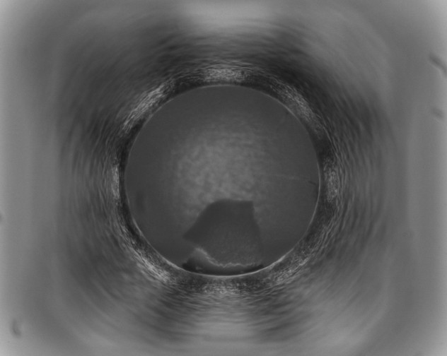 X0000097490729200802291431