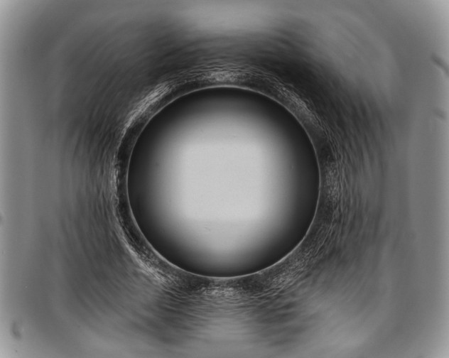 X0000097490730200802291431