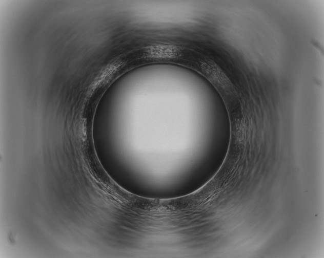 X0000097490731200802291431